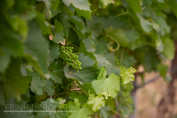 22-JH-CRS-21-WINE_TASTING-EB-4812